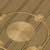Crop Circles